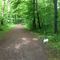 Wald - Quelle: by Leslie Oppatja (http://www.facebook.com/pages/LO-Personaltraining/129428543799464?fref=ts)
