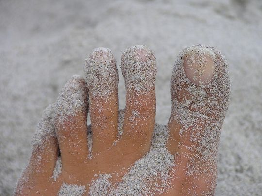 Zehen - Quelle: PIEDI, CC BY-SA 2.0 (http://www.flickr.com/photos/55638925@N00/254795933/)