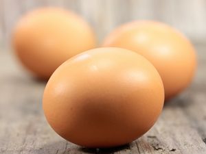 Eiweiß Protein - Quelle: (c) Thomas Francois/Fotolia.com