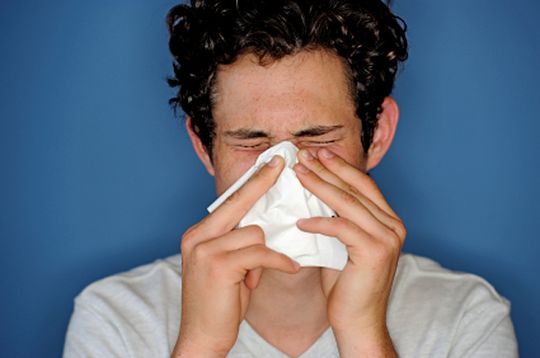 Sneezing - Quelle: (c) Matt_Brown/iStockphoto.com