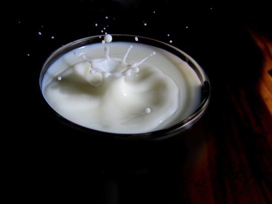 milk - Quelle: Andrew Magill, CC BY 2.0 (http://www.flickr.com/photos/amagill/)